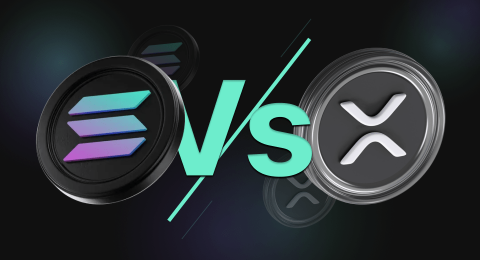 1d3c145507bb26cdd1d99bc056b160a285657adfcfb6198f98e2436a5e5421b2