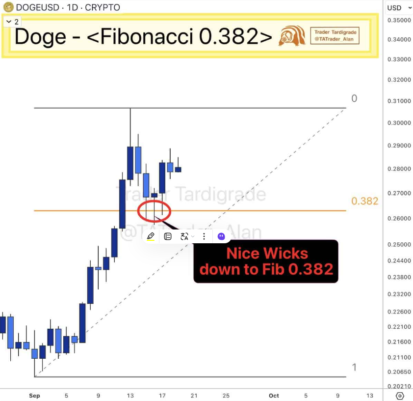Cá voi mua 158 triệu DOGE đang xác định hướng đi giá thế nào?