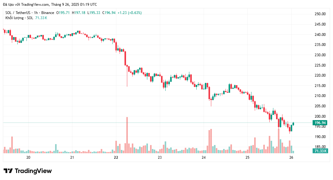 Lãi suất mở đạt kỷ lục 72 triệu SOL nhưng tại sao giá lại giảm?