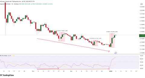 gia-dogecoin-cuoi-cung-cung-dao-chieu-nhung-rui-ro-tu-ca-voi-dang-gia-tang-gan-muc-015