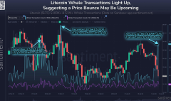 hoat-dong-ca-voi-va-phai-sinh-ltc-tang-manh-lieu-gia-litecoin-sap-dao-chieu