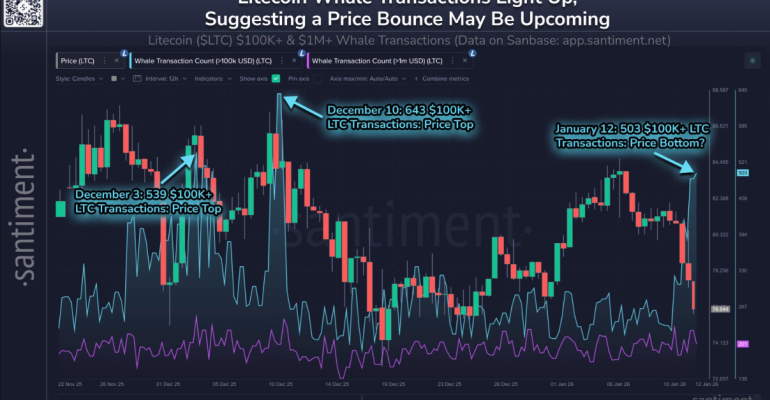 hoat-dong-ca-voi-va-phai-sinh-ltc-tang-manh-lieu-gia-litecoin-sap-dao-chieu