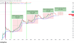 tin-hieu-hiem-hoi-xuat-hien-tren-bitcoin-lieu-gia-co-tang-220-sau-do